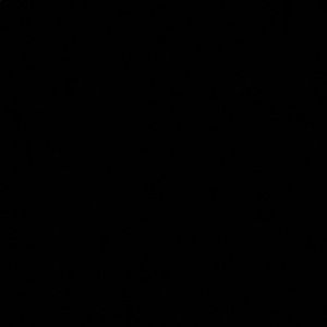 Meet your Posher, Isabel